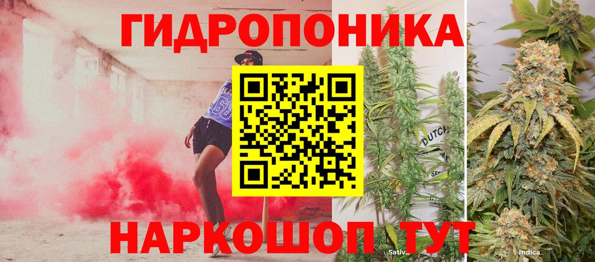 Конопля Bruce Banner Нижневартовск